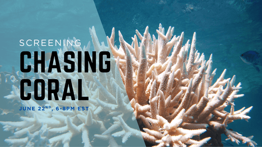 Why We're Screening Chasing Coral 🌊 - Esottera