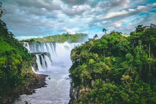 🌱 World Rainforest Day – June 22nd - Esottera