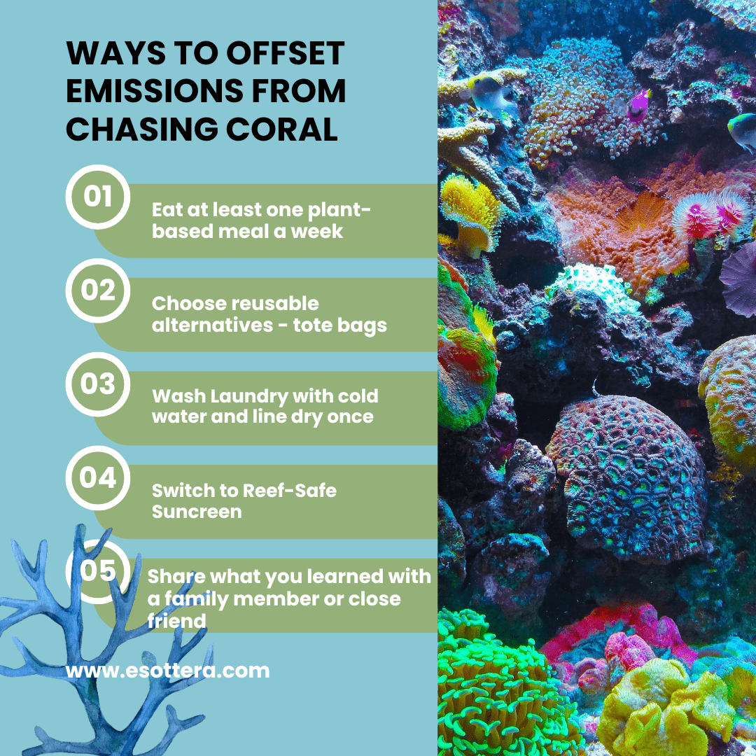 🌊 Chasing Coral: A Virtual Screening by Esottera | Special Guest: Reef Life Foundation| Ocean Love, Awareness & ActionEvent