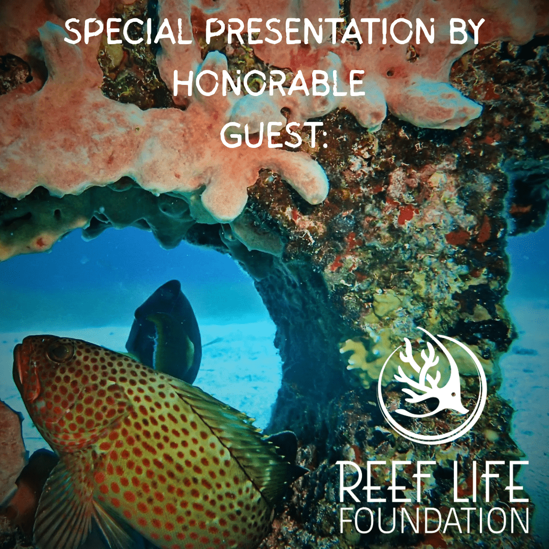 🌊 Chasing Coral: A Virtual Screening by Esottera | Special Guest: Reef Life Foundation| Ocean Love, Awareness & ActionEvent
