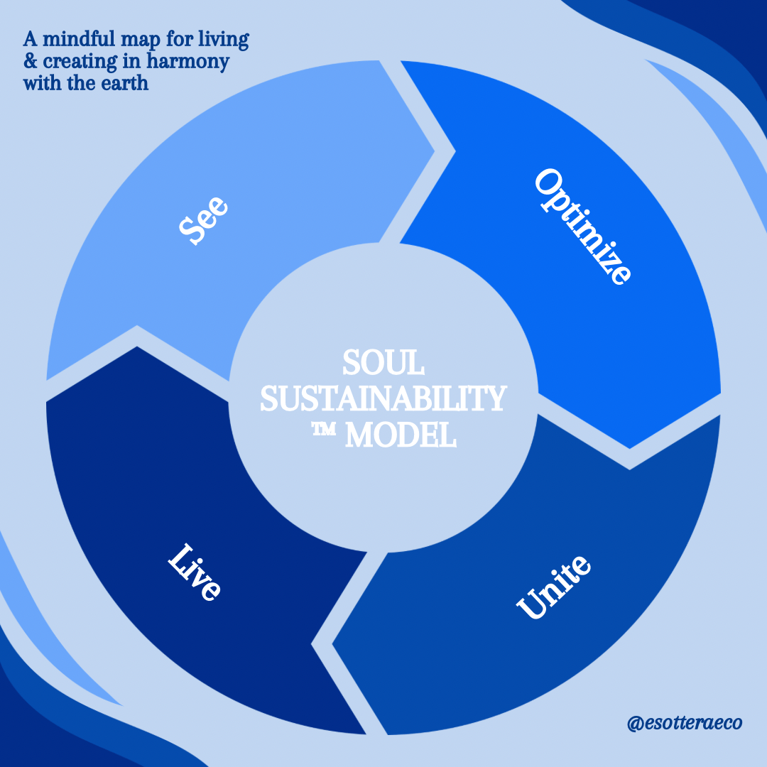 The SOUL™ Sustainability Journey – 4 Week Transformation CourseEducation