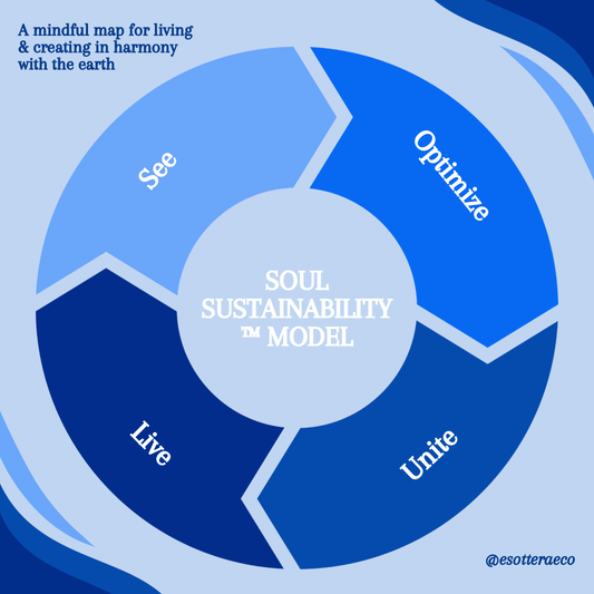 The SOUL™ Sustainability Journey – 4 Week Transformation CourseEducation The SOUL™ Sustainability Journey – 4 Week Transformation CourseEducation