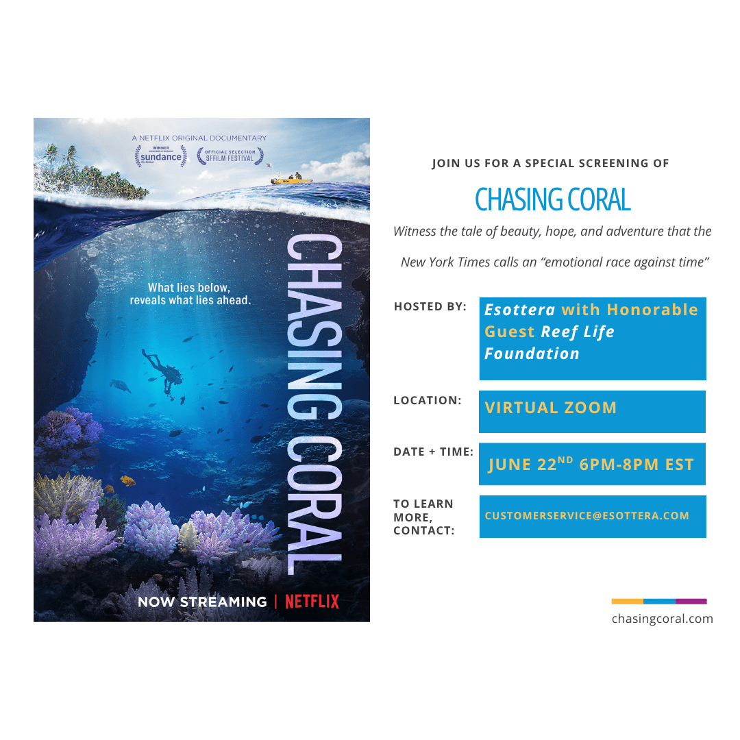 Virtual Zoom Screening – Chasing Coral + Live Discussion with Esottera 🌍Event