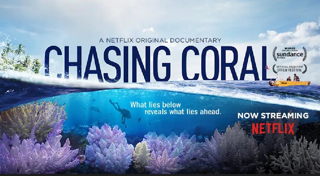 Virtual Zoom Screening – Chasing Coral - Exposure Labs + Live Discussion with Esottera 🌍Event