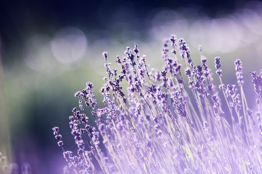 Eco-Friendly Cleaning in 2026: What Actually Works and What’s Greenwashing - Esottera