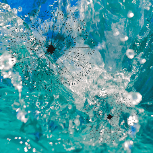 Emotional Ecology: How Our Inner Climate Mirrors Earth's Climate - Esottera