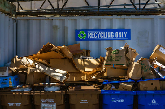 🌍 National Recycling Day - November 15th: A Call to Recycle, Reuse, and Reimagine - Esottera