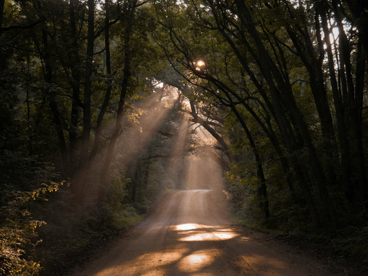 Slow Living in Summer: Aligning Your Rhythm with Longer Days - Esottera