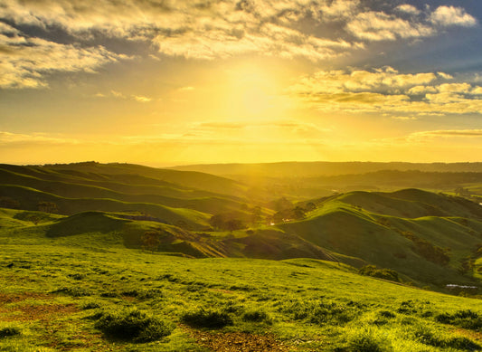 Sunlight and Mood: How Summer Light Boosts Mental and Emotional Wellbeing - Esottera