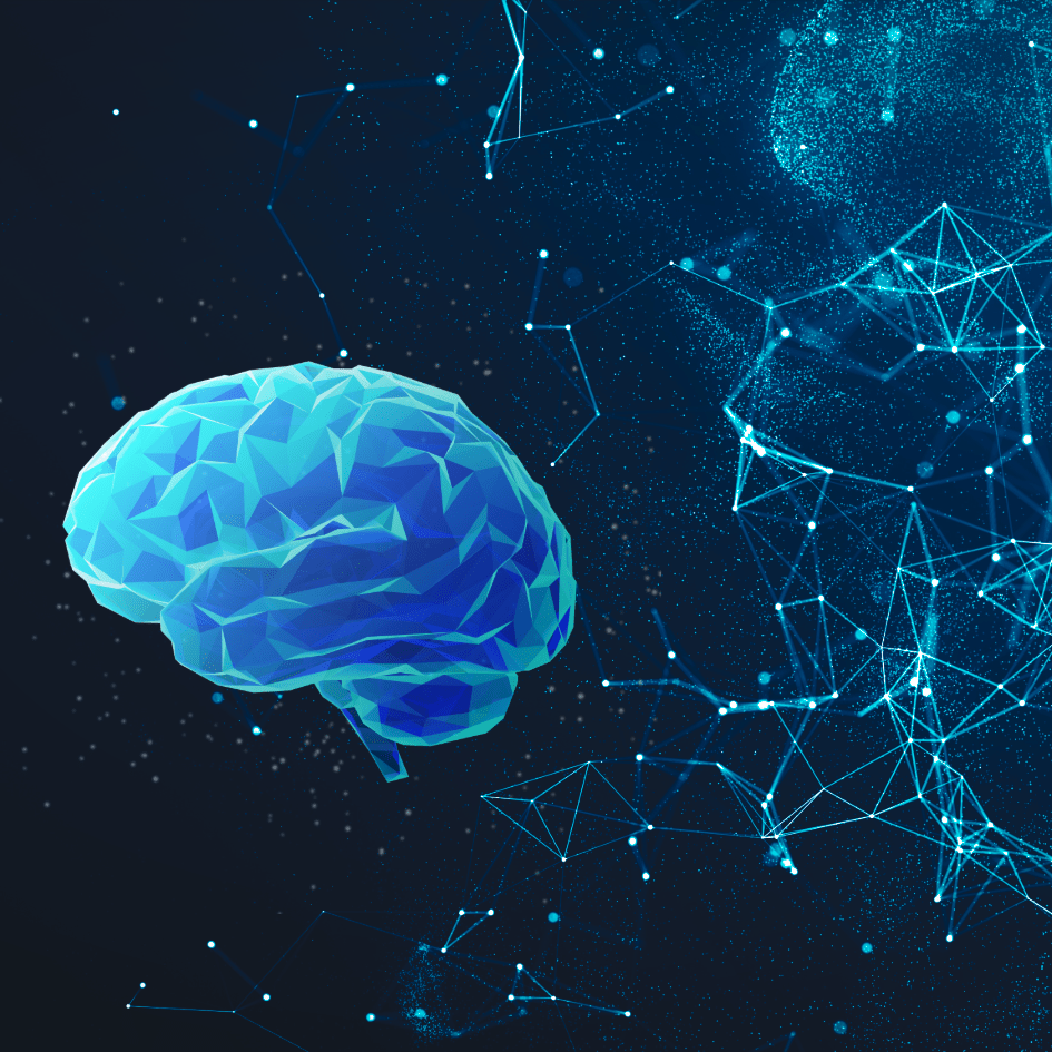 Sustainable Digital Life: How to Reduce Your Online Carbon Footprint in 2026 - Esottera