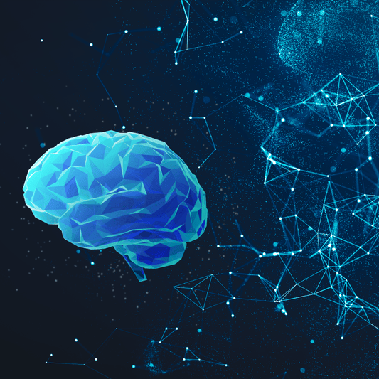 Sustainable Digital Life: How to Reduce Your Online Carbon Footprint in 2026 - Esottera