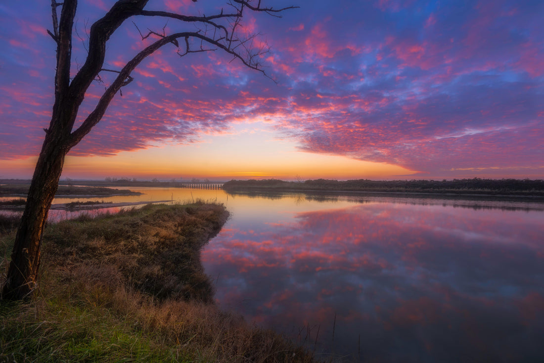 The Evening I Realized Nature Was Teaching Me How to Live Sustainably - Esottera