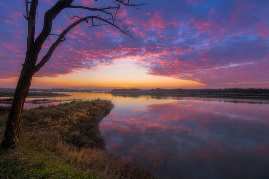 The Evening I Realized Nature Was Teaching Me How to Live Sustainably - Esottera