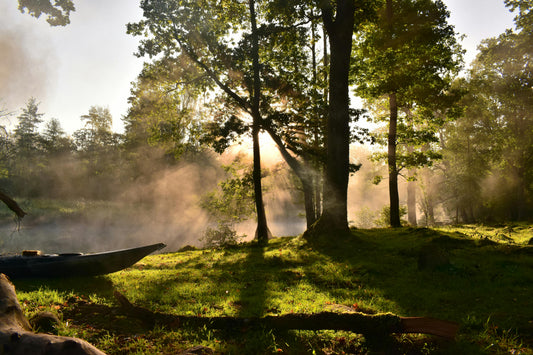 Why Nature Immersion Rewires the Brain for Sustainability - Esottera