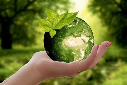 Why Sustainability Matters - Esottera