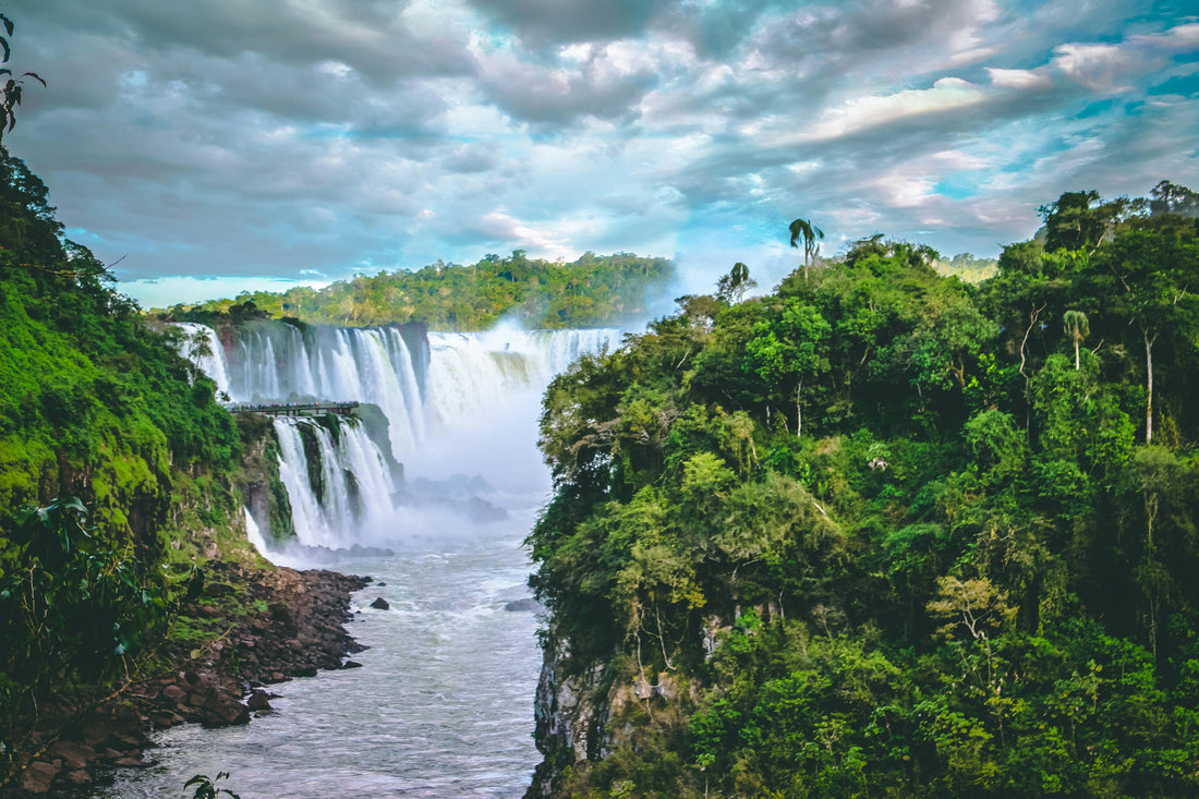🌱 World Rainforest Day – June 22nd - Esottera