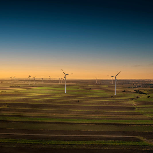 🌍 Zero Emissions Day – September 21st: Taking Action for a Cleaner, Healthier Planet - Esottera