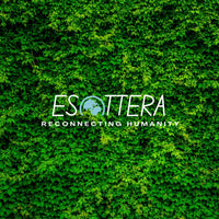 files/esottera-greenery.jpg